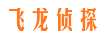 当阳找人公司